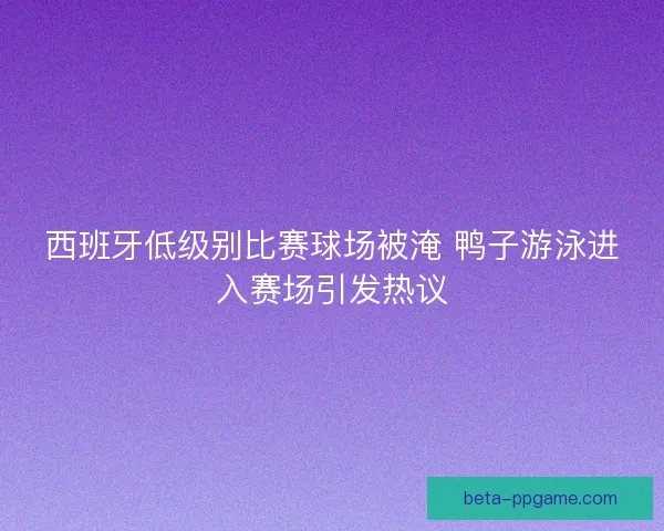 西班牙低级别比赛球场被淹 鸭子游泳进入赛场引发热议