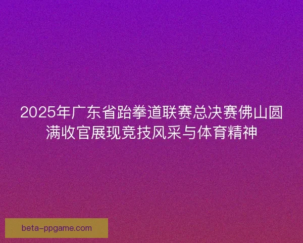 2025年广东省跆拳道联赛总决赛佛山圆满收官展现竞技风采与体育精神
