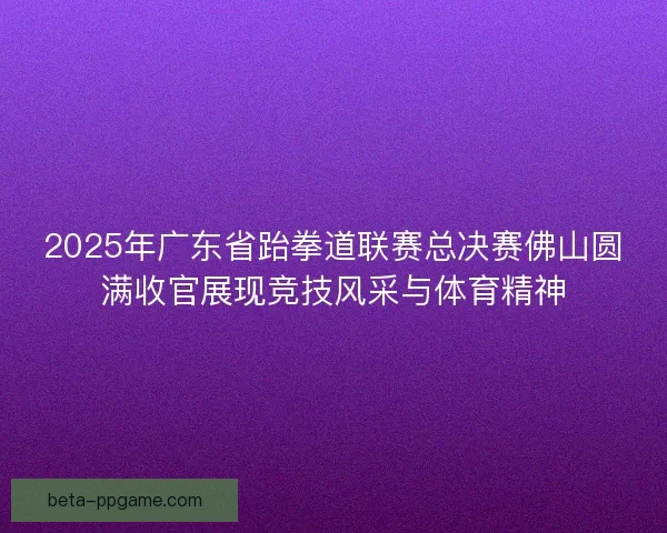 2025年广东省跆拳道联赛总决赛佛山圆满收官展现竞技风采与体育精神
